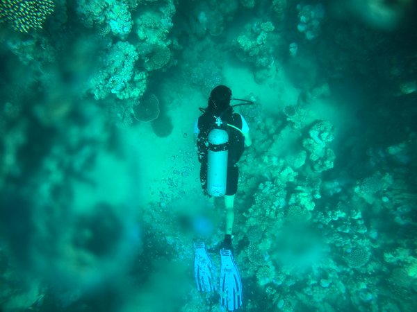 Quels sont les meilleurs spots pour une plongée en apnée dans les îles Galápagos : conseils et périodes?